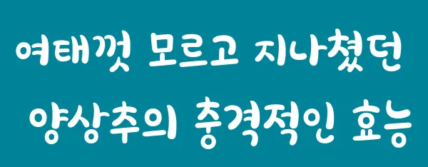 여태껏 모르고 지나쳤던 양상추의 충격적인 효능