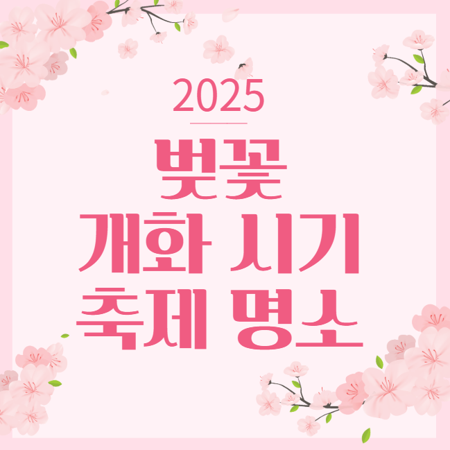 2025년 벚꽃 개화시기 만개 날짜 진해 제주 서울 전국 명소 축제 모음