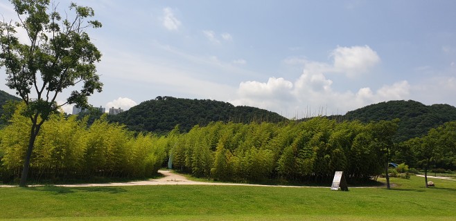  산행은 나의 일상(며칠 지난 일상)