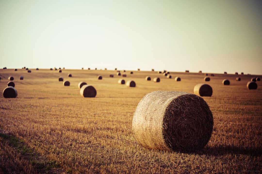 Harvesting