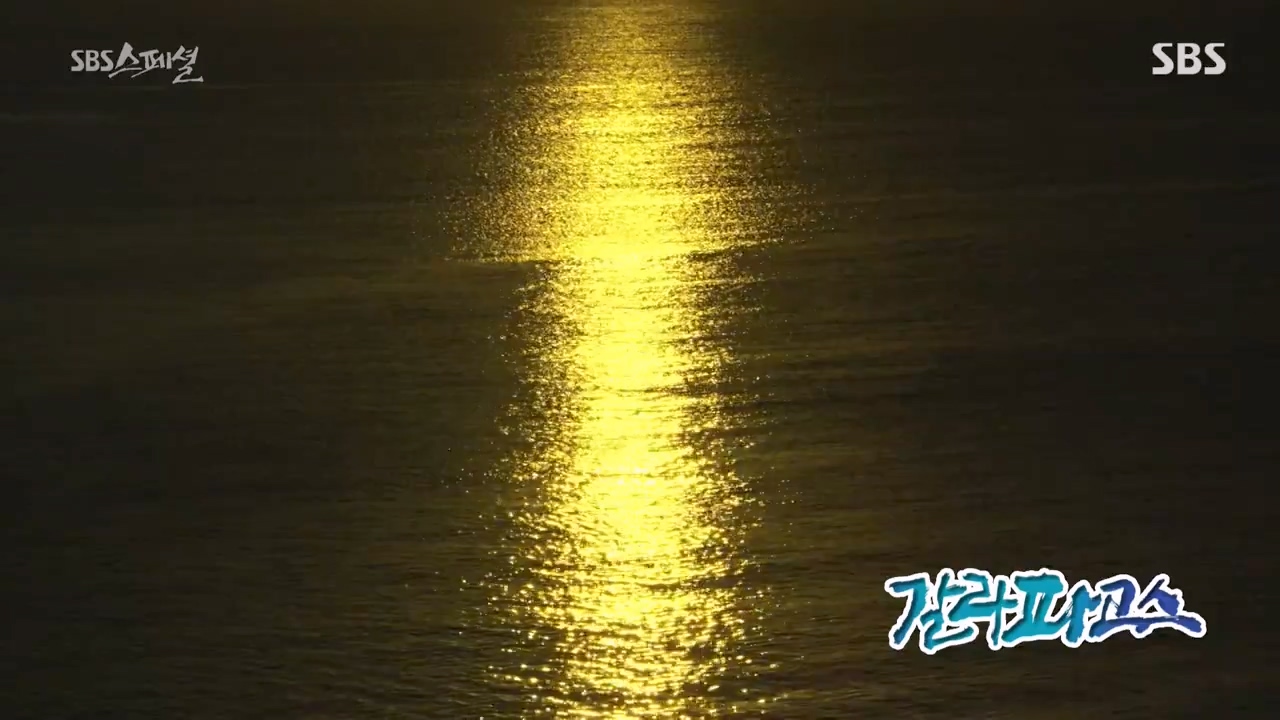 일요특선 다큐멘터리.E325.230724p-NEXT.mp4_20230726_211733.219.jpg