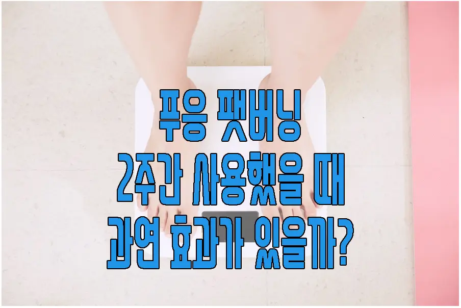 푸응 팻버닝 후기