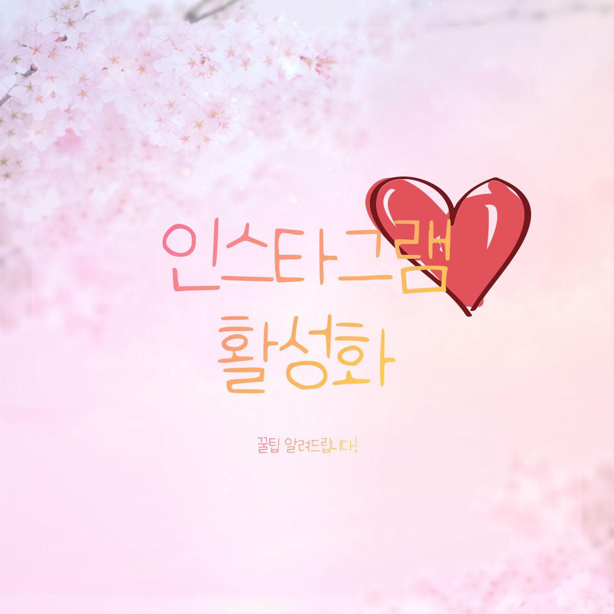  [인스타활성화] 인스타그램 활성화 꿀팁!