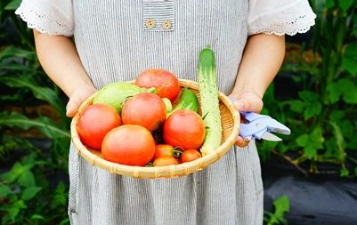한 여자가 소쿠리에 오이, 토마토 등 수확한 채소를 들고 있는 모습