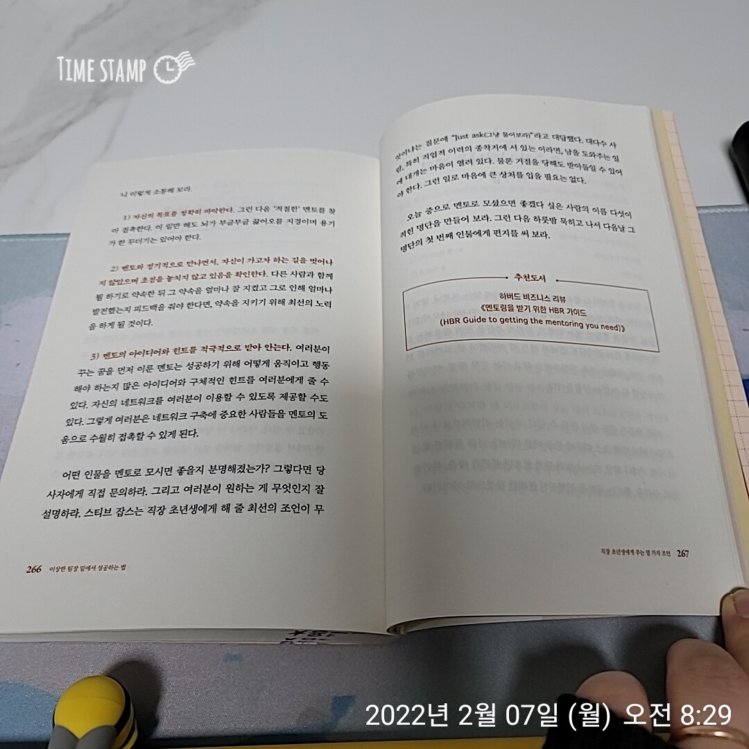  이상한 팀장 밑에서 성공하는 법, 멘토의 조언과 함께 앞지르기 차선으로 진입하라