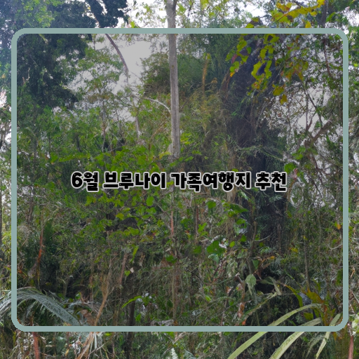  알아두면 유용한! 브루나이 가족여행지 TOP5