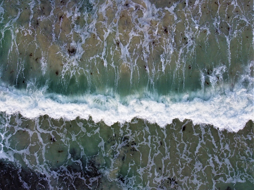 Surge