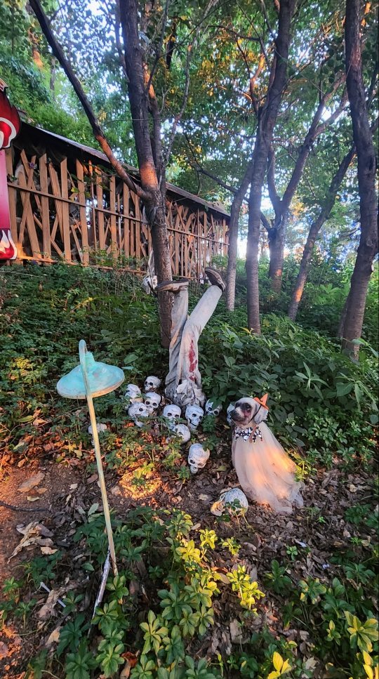 방문사진25