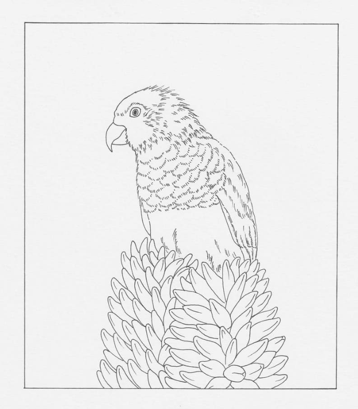 커다란 꽃 위에 앵무새 한 마리가 앉아 있는 선 그림 도안
