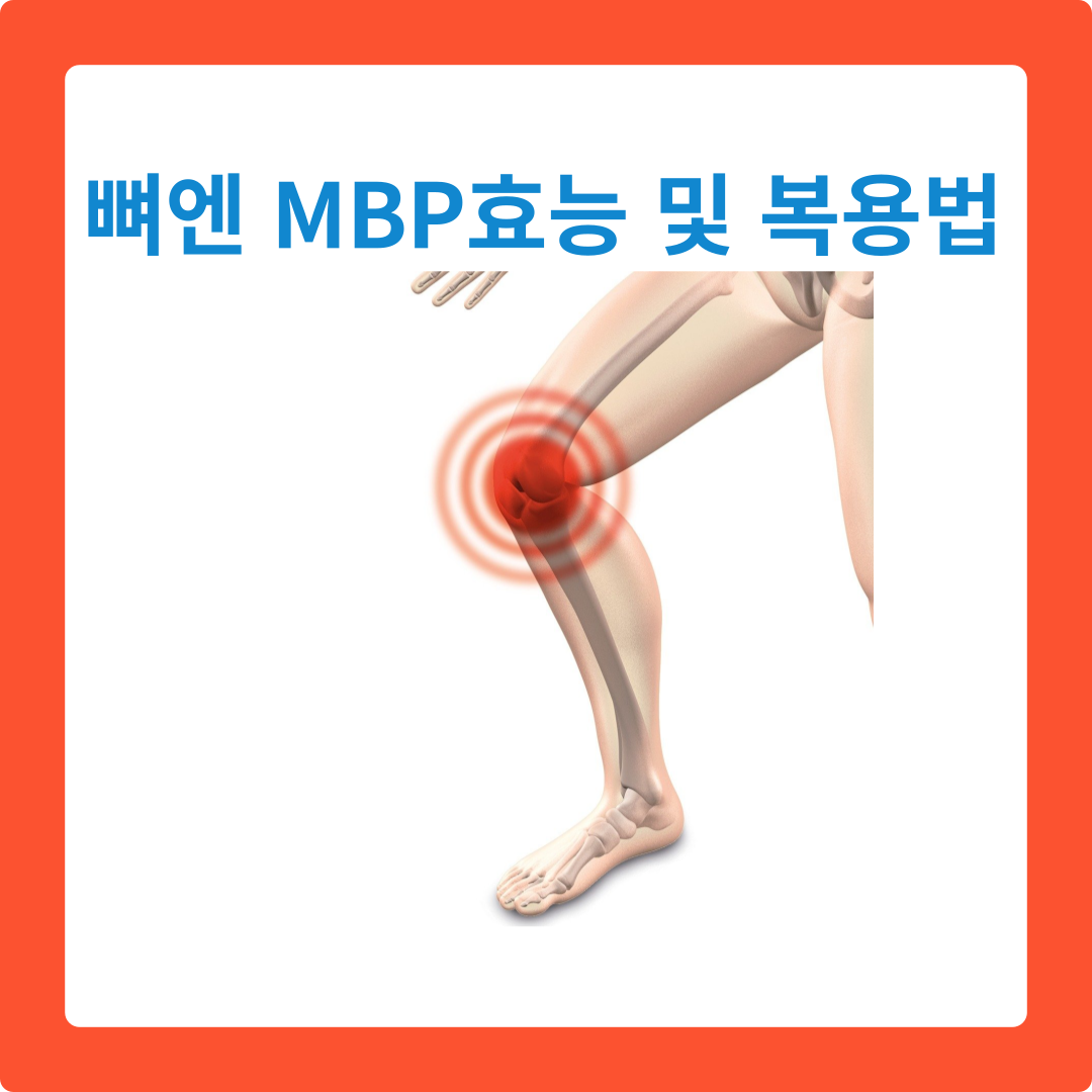  뼈엔 엠비피 MBP효능과 올바른 섭취법