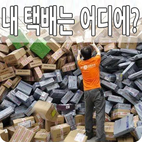  해외 직구 택배 배송 정밀 추적 조회