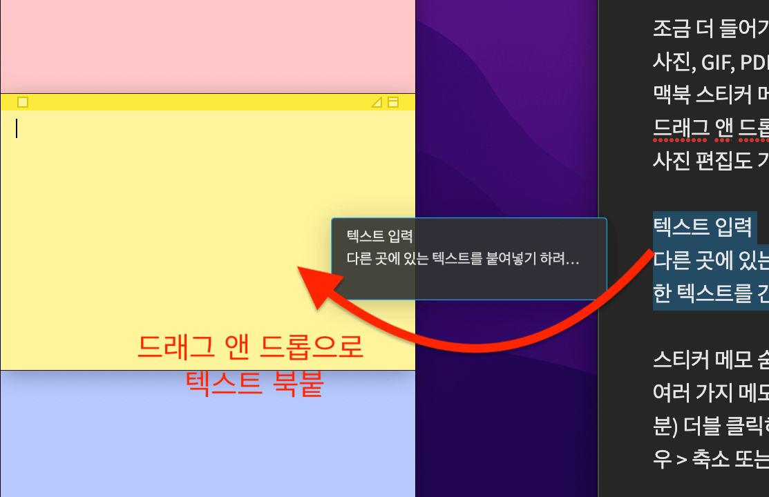 맥북-드래그-앤-드롭으로-텍스트-복붙하기