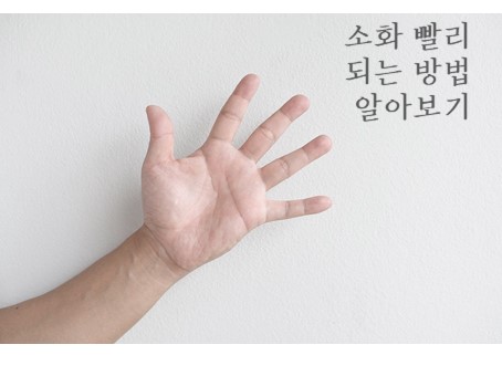  소화빨리되는법 A to Z 정리!