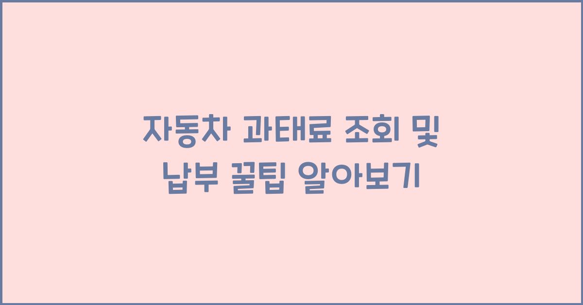자동차 과태료 조회