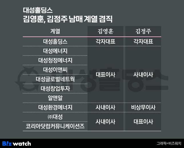 대성홀딩스 김영후&#44; 김정주 남매 계열 겸직
