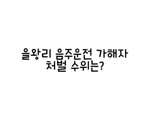  을왕리 음주운전 가해자 처벌 수위는?