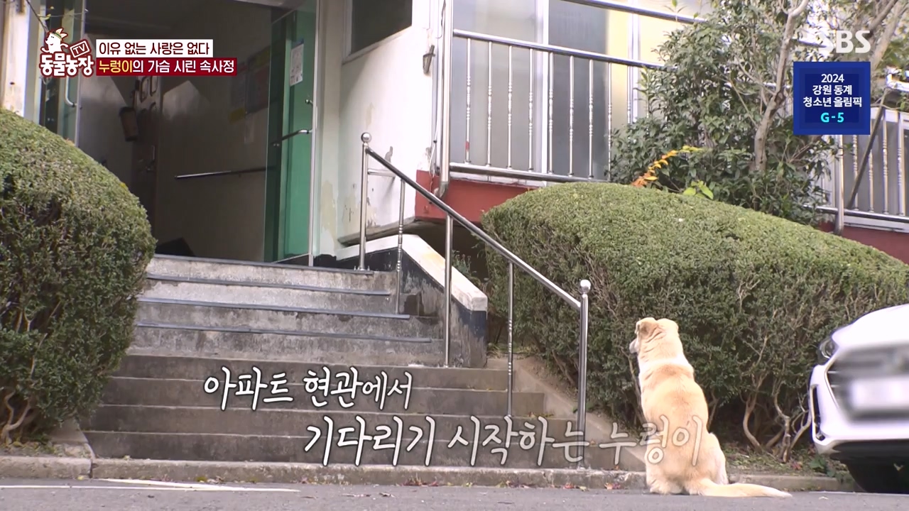 TV 동물농장.E1154.240115p-NEXT.mp4_20240114_184401.065.jpg