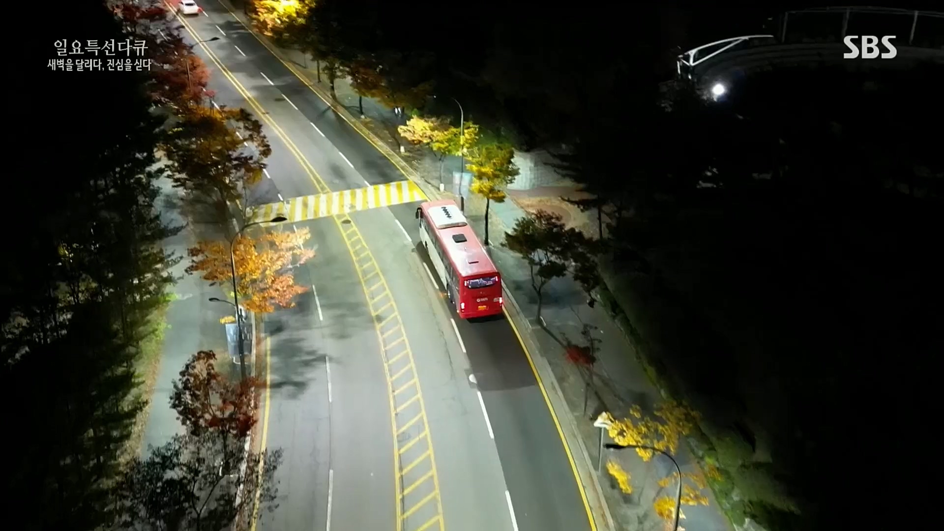 일요 특선 다큐멘터리.E294.221106p.H264-F1RST.mp4_20221204_163911.429.jpg