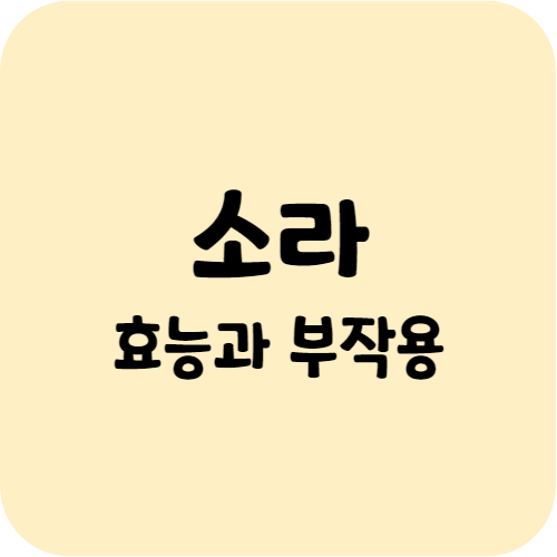 소라의 효능과 부작용