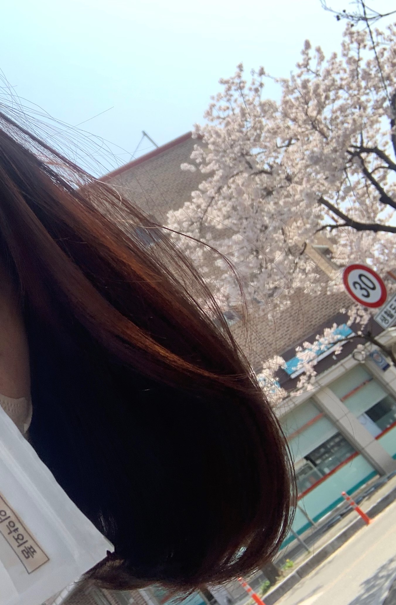  애터미 염색약 :: 살롱앤컬러 셀프 염색약 추천 7가지 이유~*
