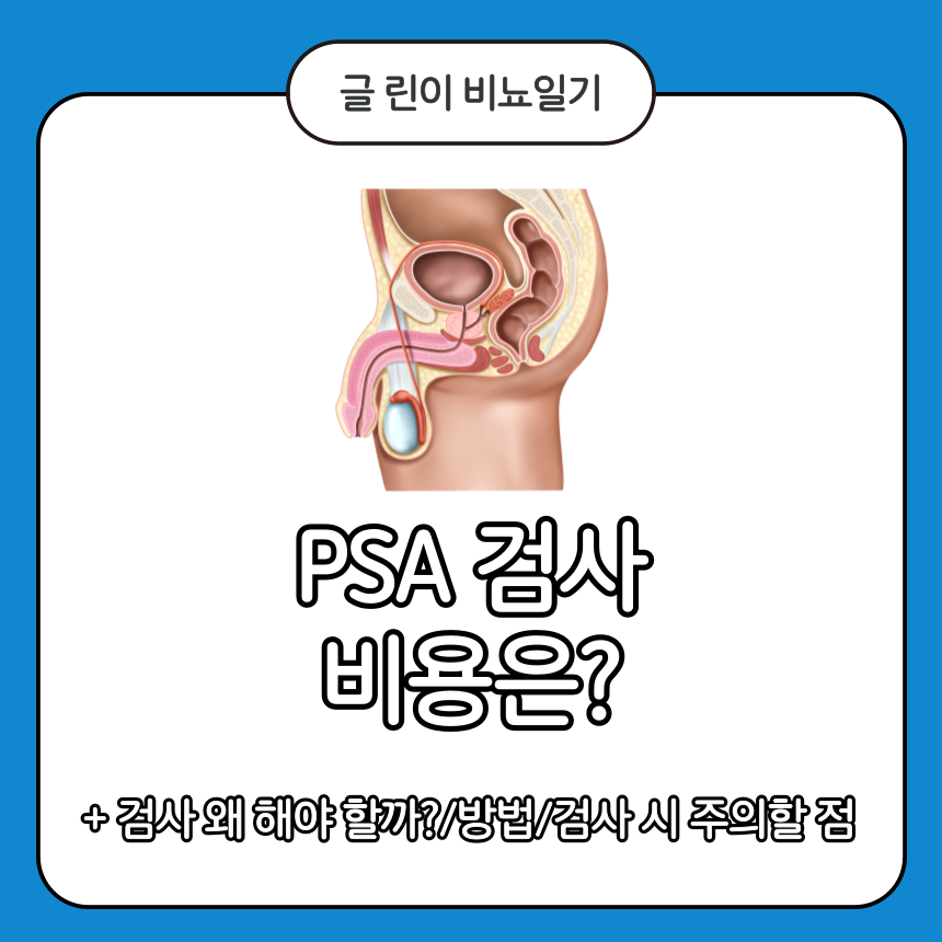  PSA 검사 비용은?