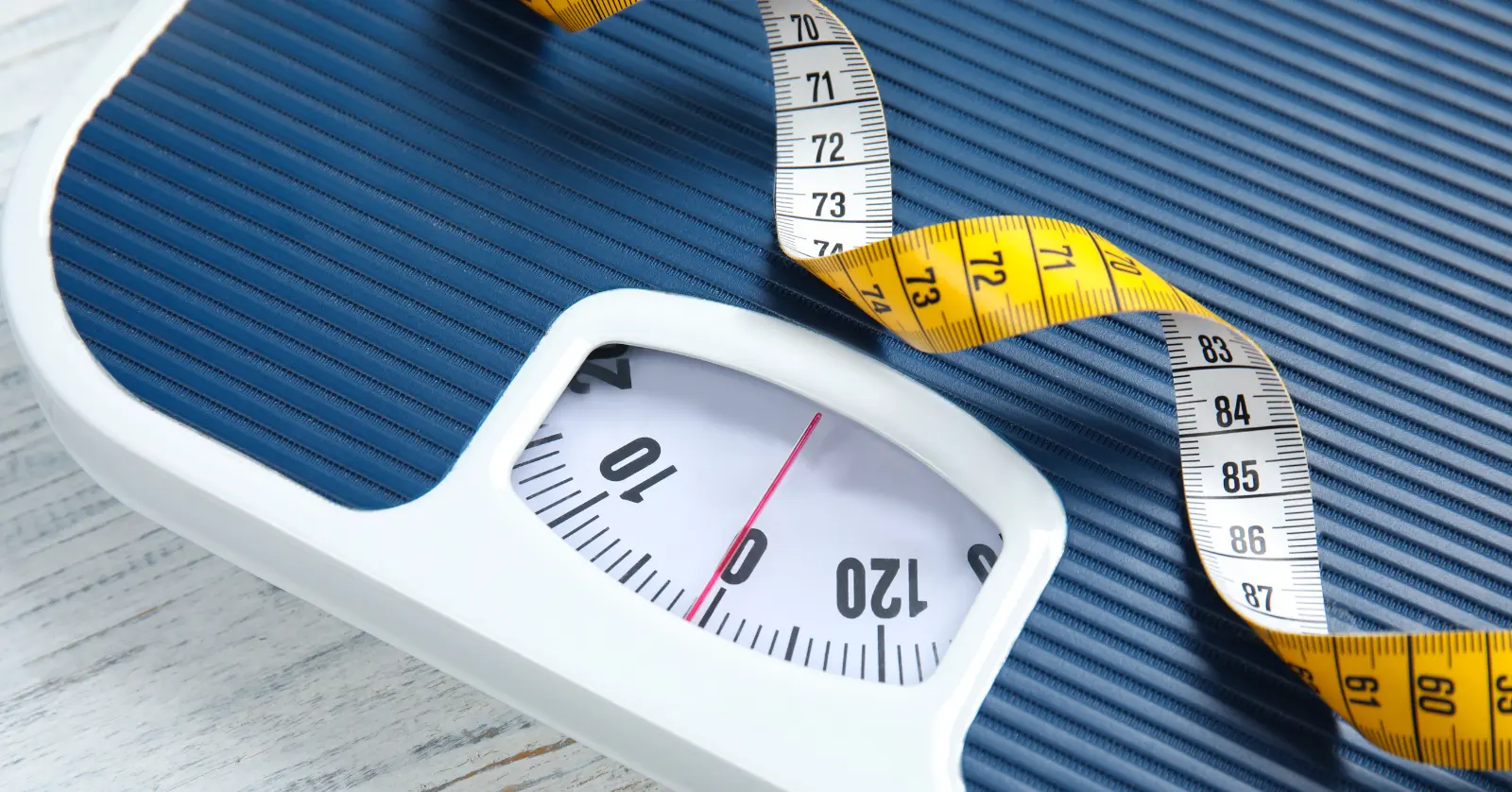 BMI 정상범위