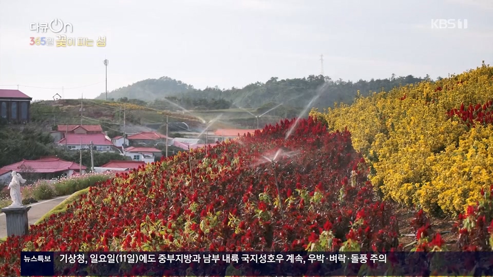 다큐 On.E201.230610p.H264-F1RST.mp4_20230611_165942.195.jpg