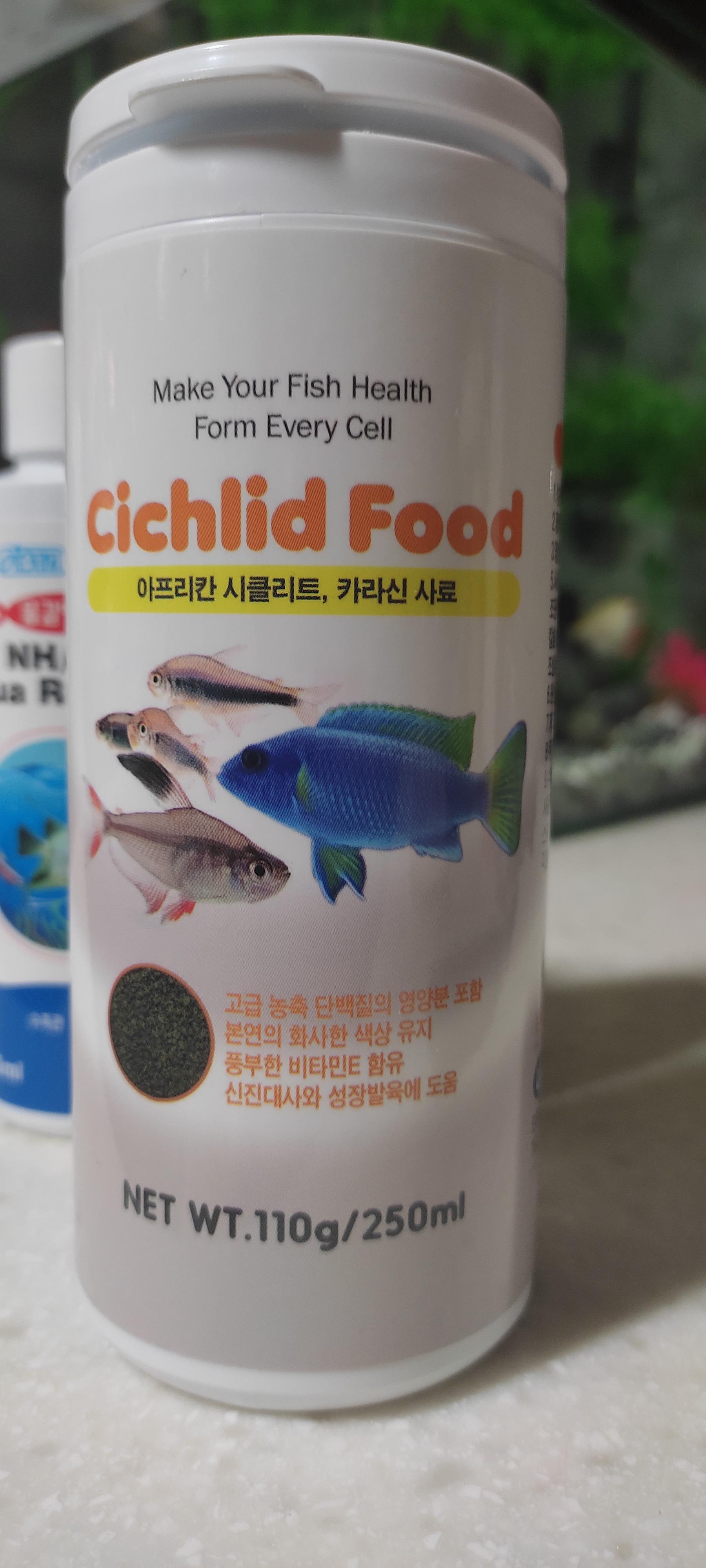  물고기 키우기 - 아무것도 모르면서 어항 산 이야기 - 알록달록 열대어 - 컬러 테트라 - 어항 입문 과 배운 것들