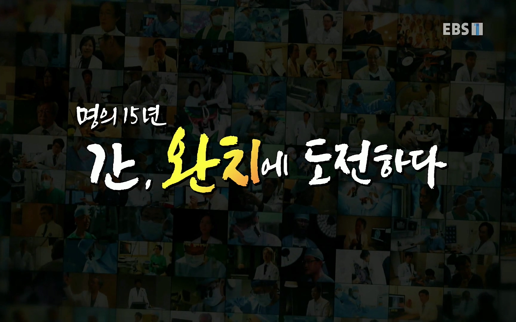 EBS 명의 헬스케어 - TV - 교육의 중심 EBS명의 15년 - 간, 완치에 도전하다.mp4_20220802_200701.368.jpg