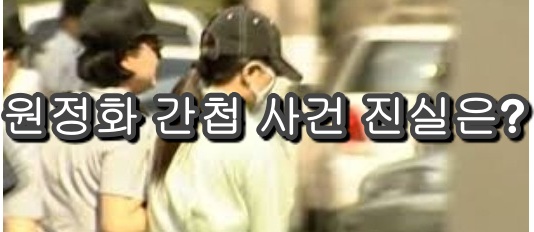  원정화 간첩 진위