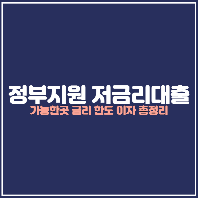 정부지원 저금리대출