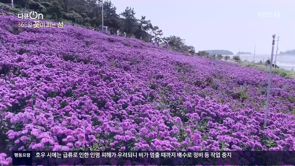 다큐 On.E201.230610p.H264-F1RST.mp4_20230611_165931.035.jpg