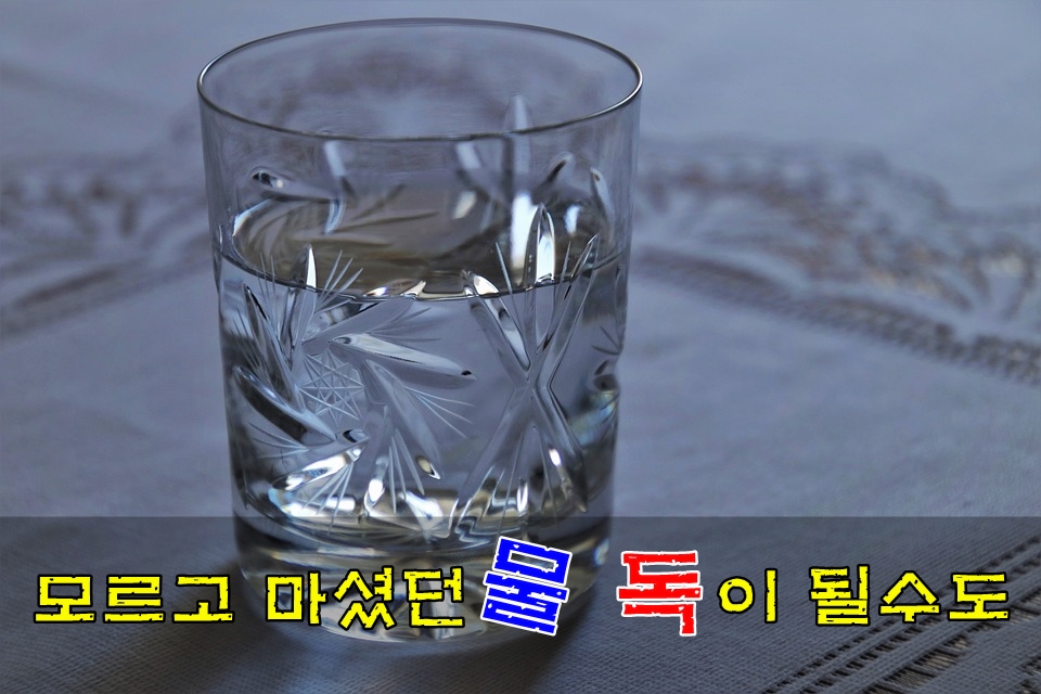  물 올바로 마시는 방법-모르고 마셨던 물, 독이 될수도