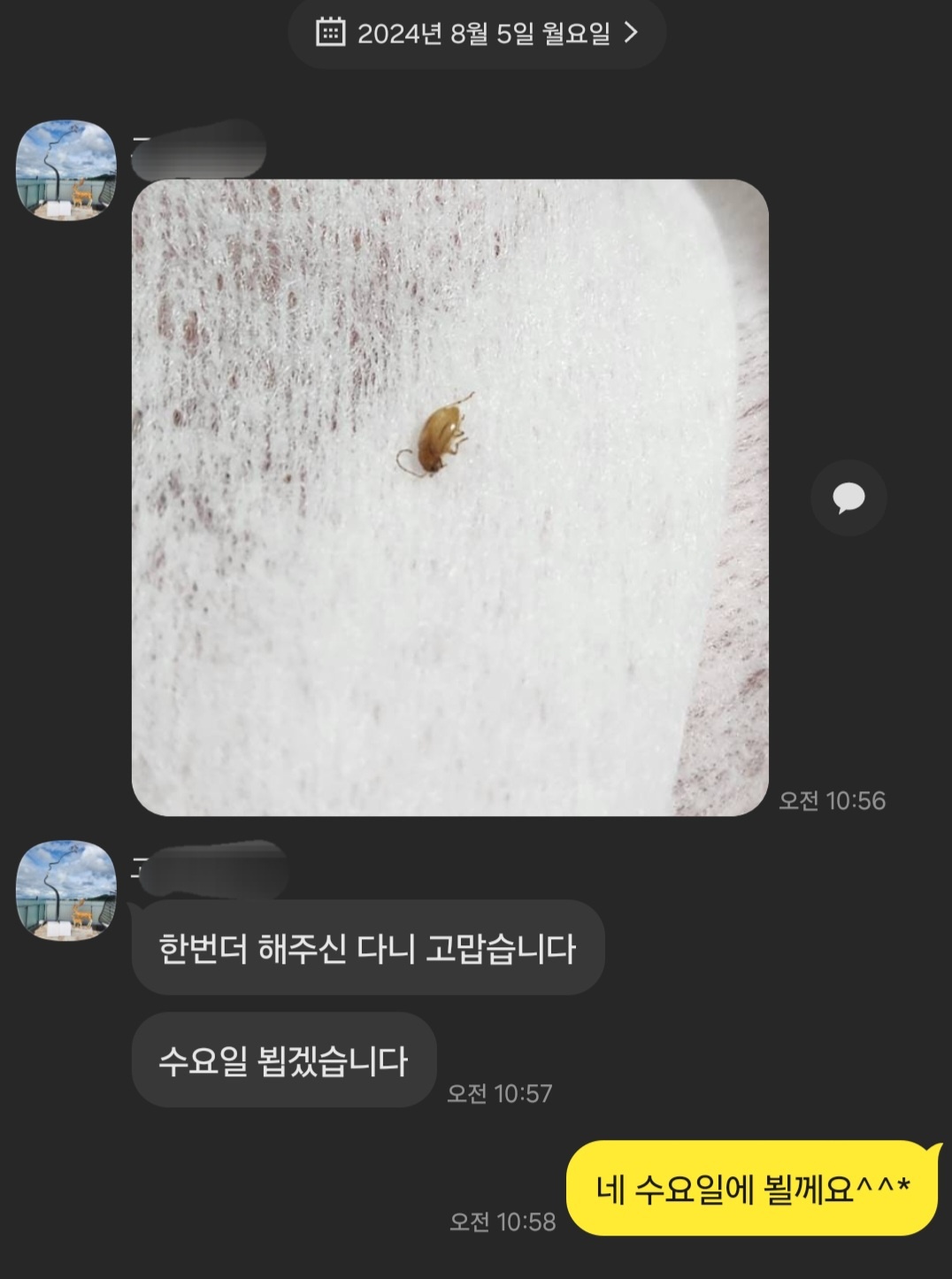 비치움클린오아시스 이미지