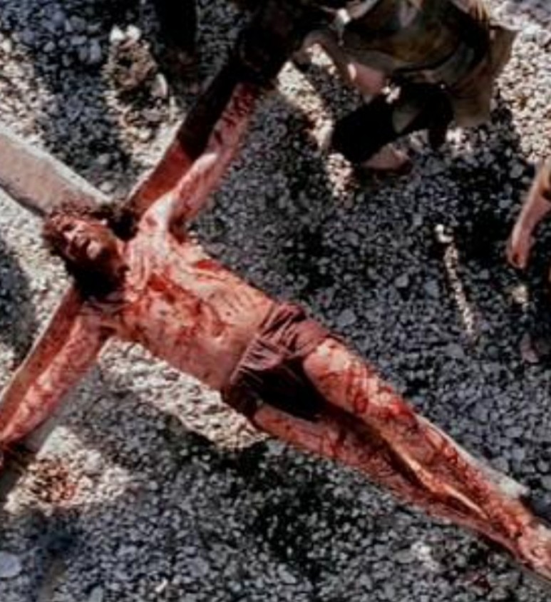 패션 오브 크라이스트 뜻 패션 11