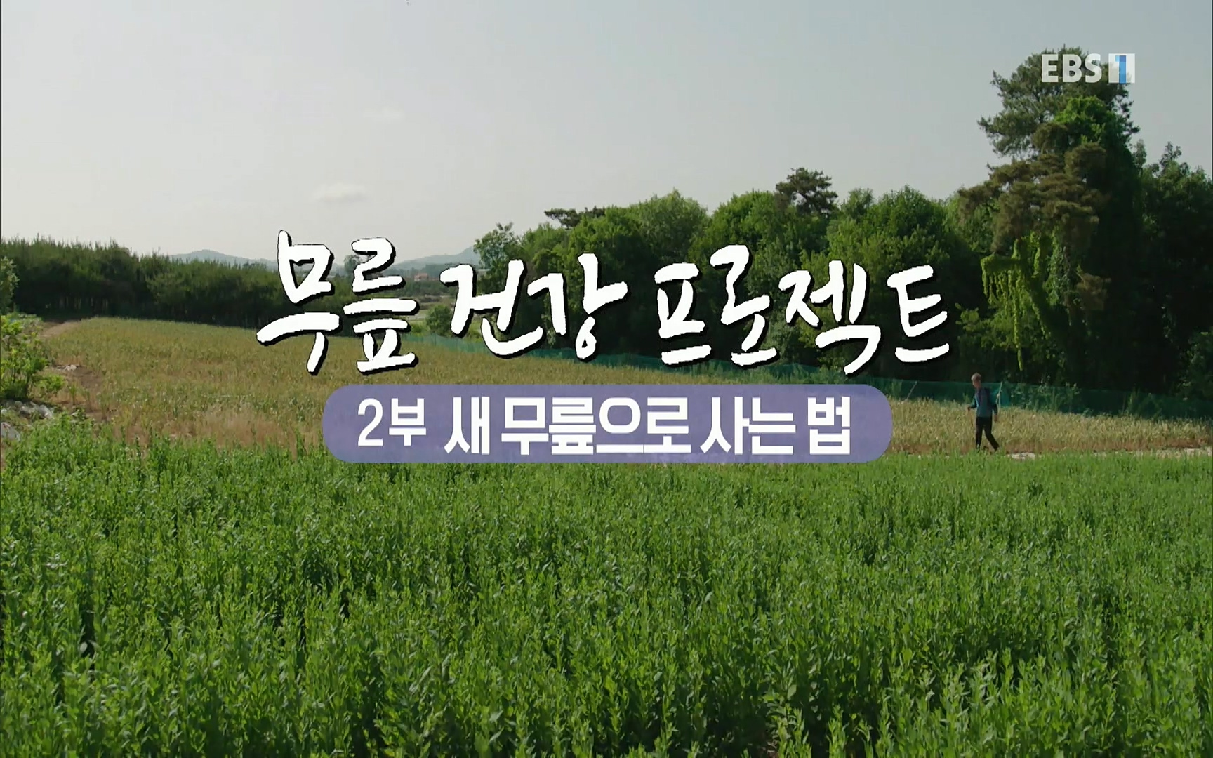 EBS 명의 헬스케어 - TV - 교육의 중심 EBS무릎 건강 프로젝트 2부 새 무릎으로 사는 법 .mp4_20220726_200322.458.jpg