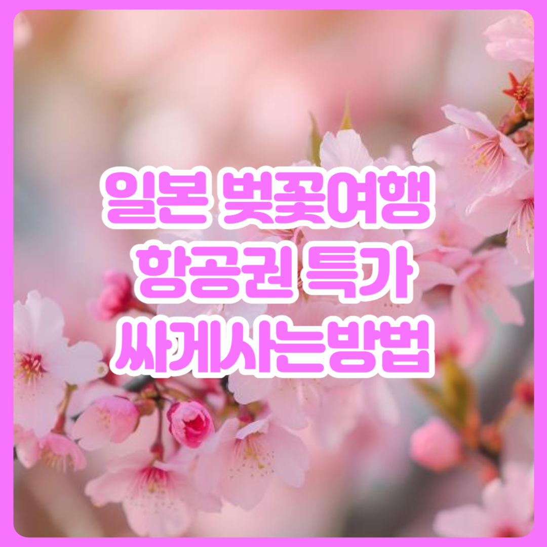 일본_벚꽃여행_항공권_특가_싸게사는방법