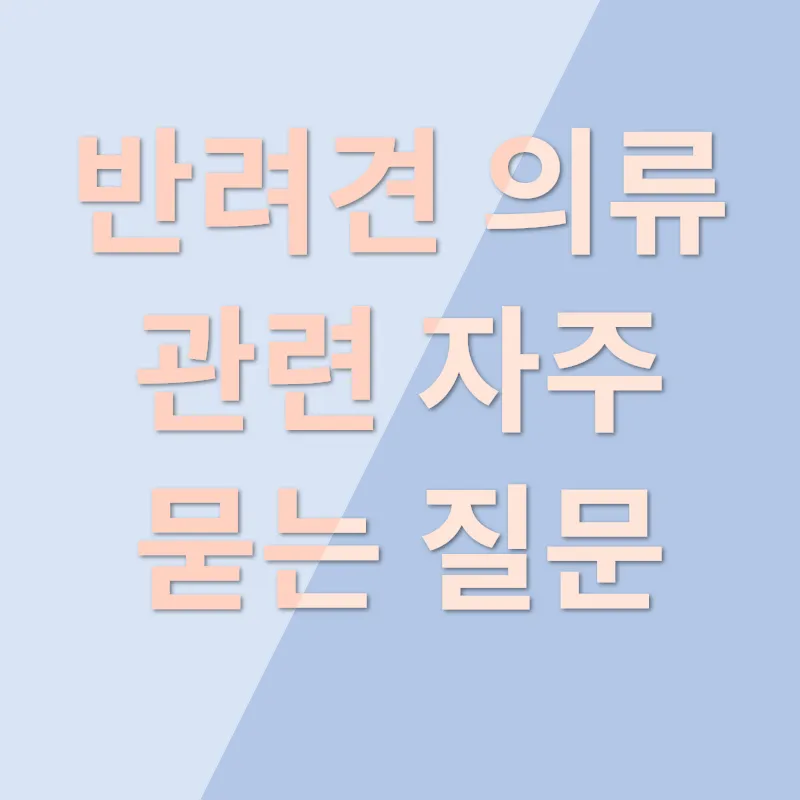 개옷추천_4