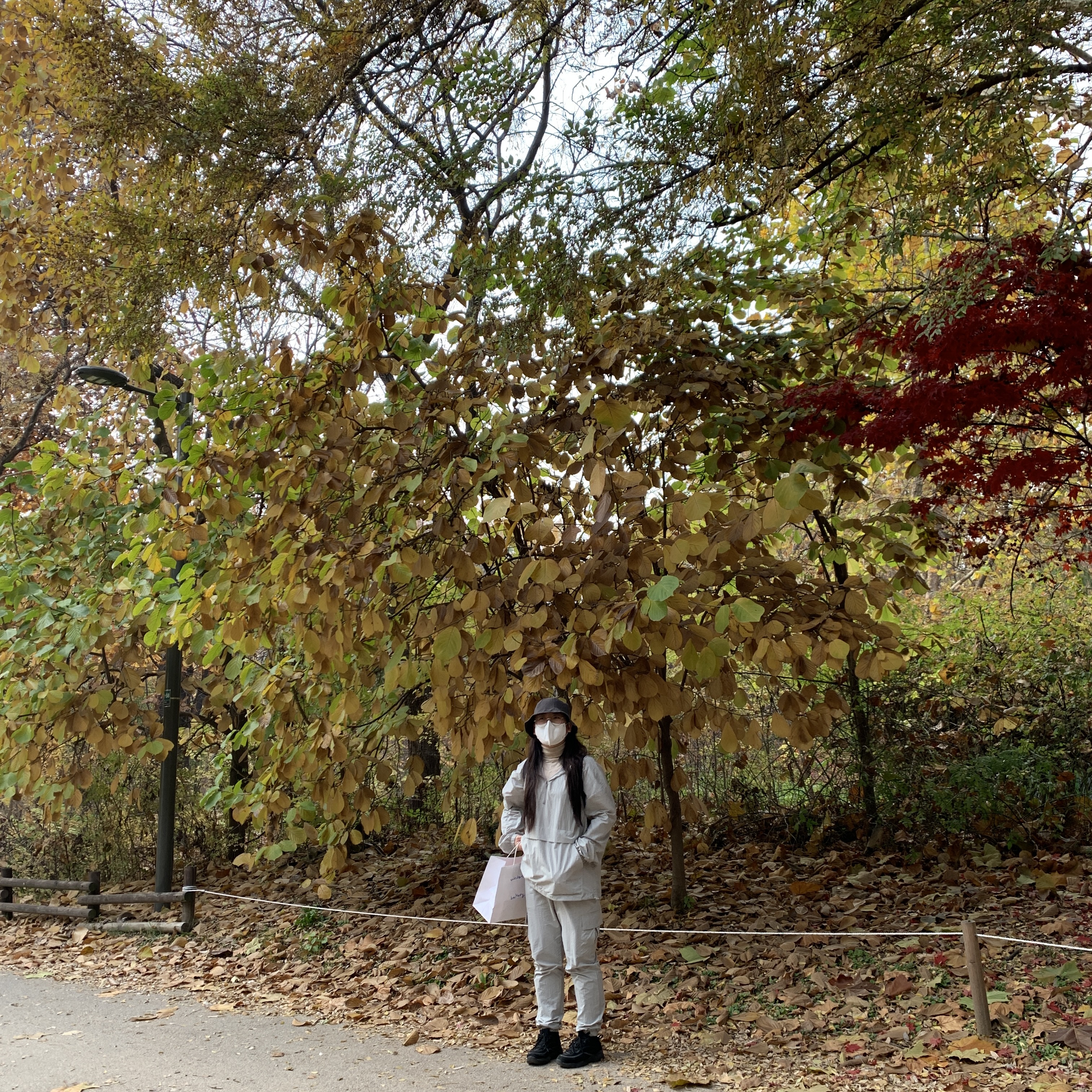 알록달록한 낙엽들 사이에서 사진한장