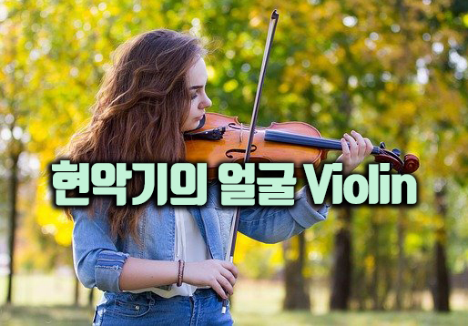  악기론class 바이올린(violin)