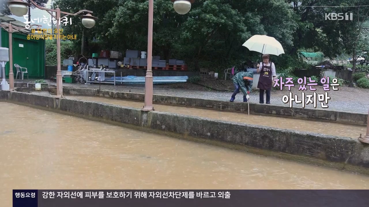 동네 한 바퀴.E234.230806p-NEXT.mp4_20230810_211410.142.jpg