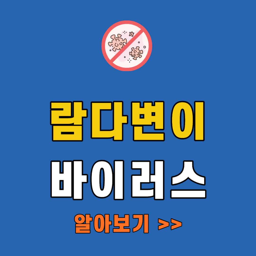 람다변이 소개하는 사진