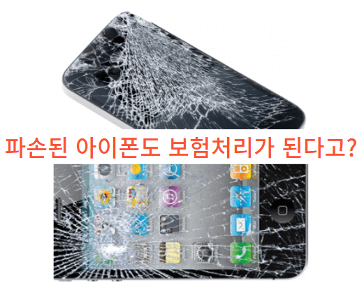  정말 '이것'도 보험으로 보상이 된다고?(일상생활책임 보험)