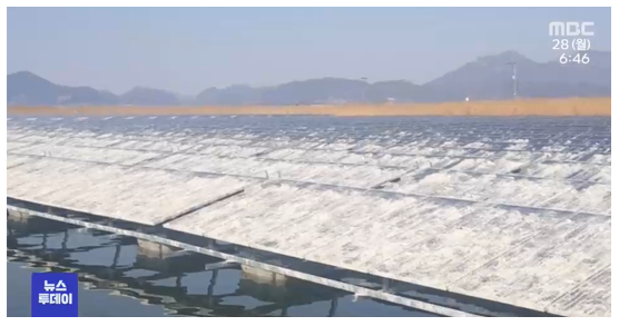 철새 등의 분변으로 심각하게 오염된 태양광 패널 (출처-MBC뉴스)