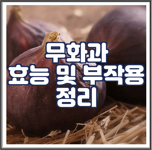  무화과의 효능 및 부작용 정리