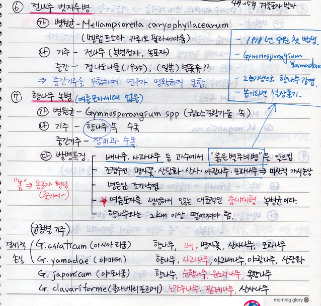  [수목병리학] (녹병) 전나무 빗자루병, 향나무녹병