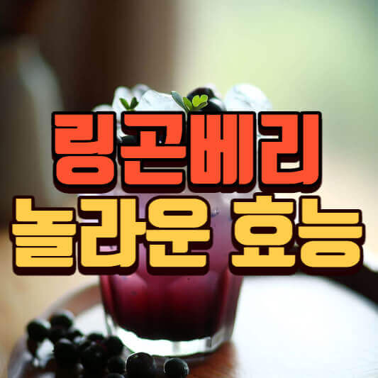  링곤베리 놀라운 효능 4가지, 제품고르는법 (글루타치온 관계)