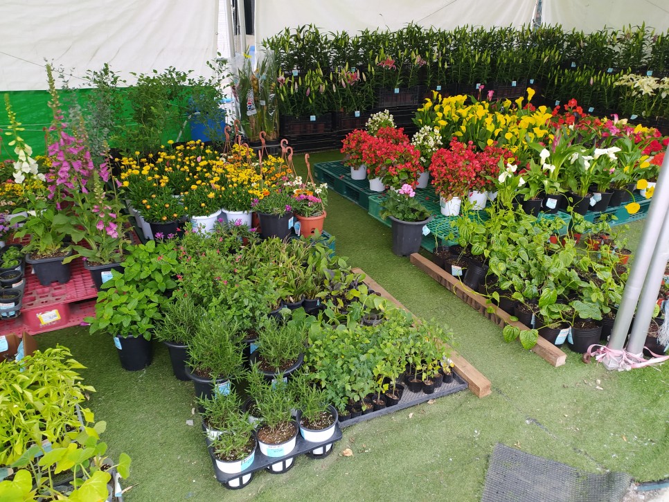 몽산포 물때표 태안 : 몽산포 물때표확인 3