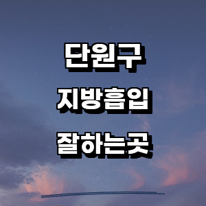 안산 단원구 지방흡입