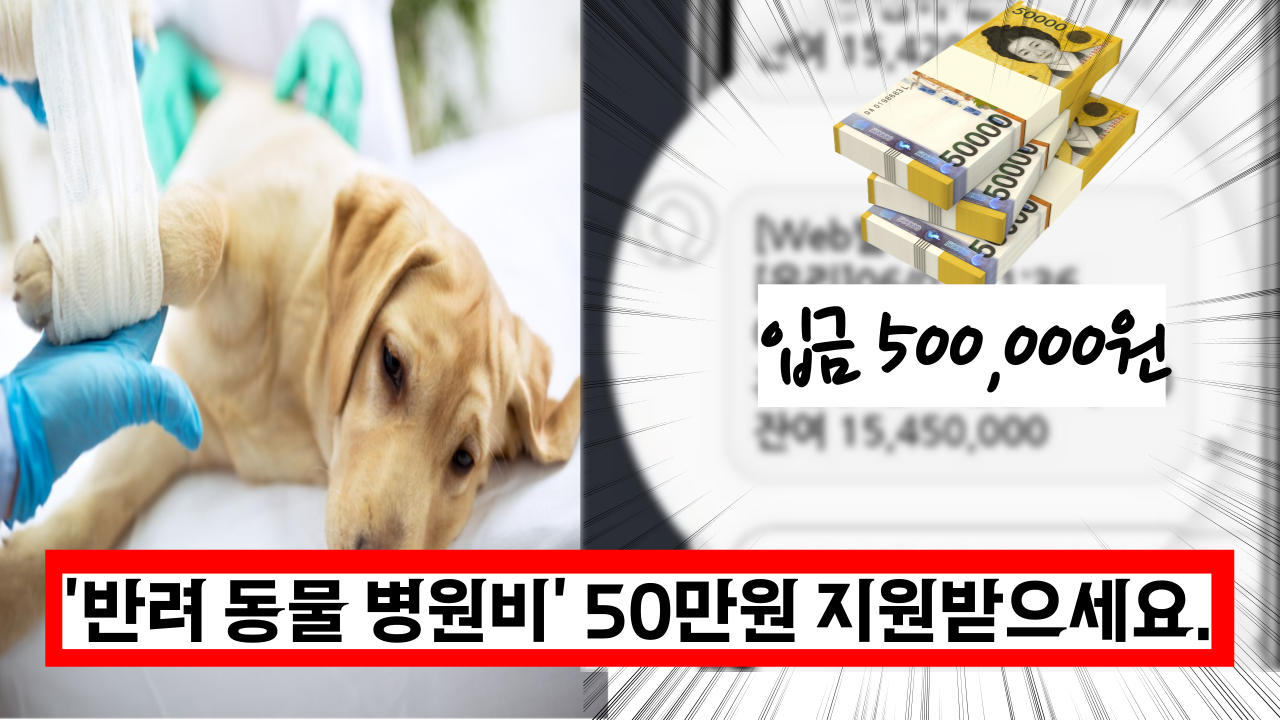  '반려 동물 병원비가 지원된다고?' 몰라서 못받는 50만원 의료비 지원 제도 꿀팁.